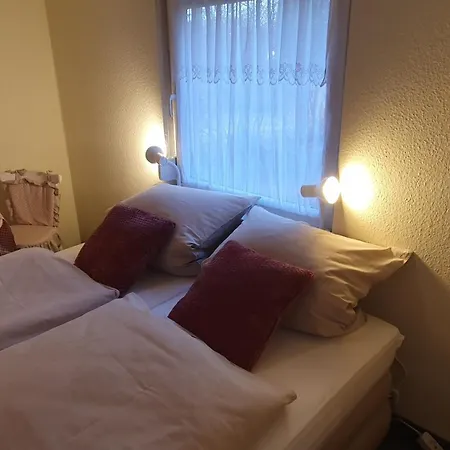 Tatil Evi Bluetenhaus Im Rhododendronpark 5 Min Zum Kromlau