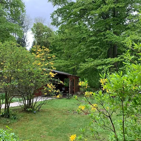 Bluetenhaus Im Rhododendronpark 5 Min Zum *