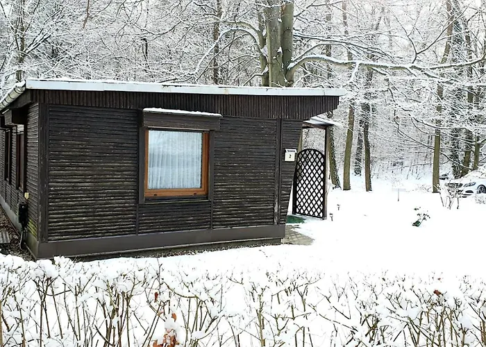 度假居 Bluetenhaus Im Rhododendronpark 5 Min Zum Kromlau