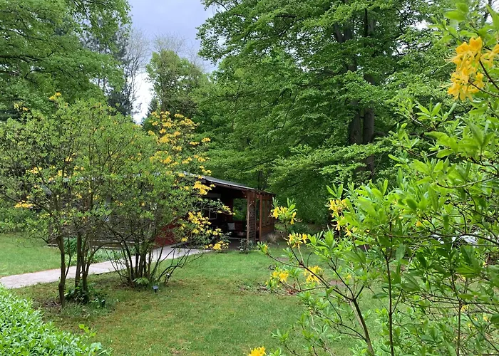 Bluetenhaus Im Rhododendronpark 5 Min Zum *